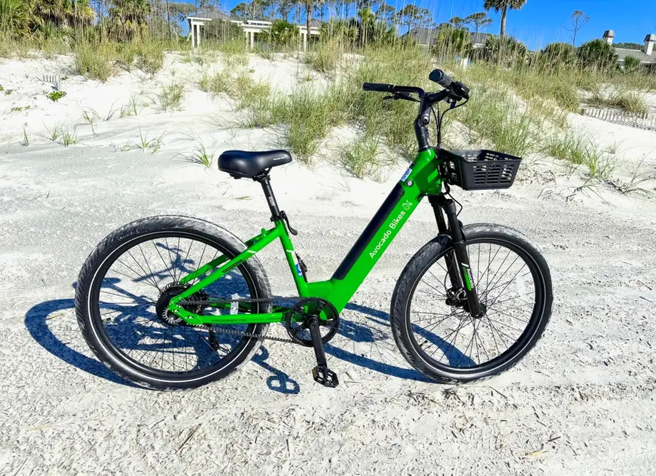 Five Day Electric Bike Rental