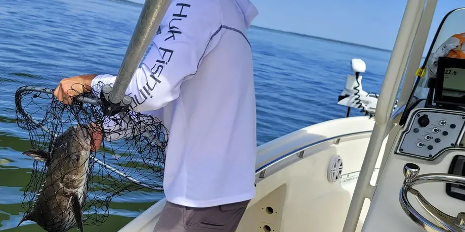 In-Shore / Near-Shore Fishing Charter