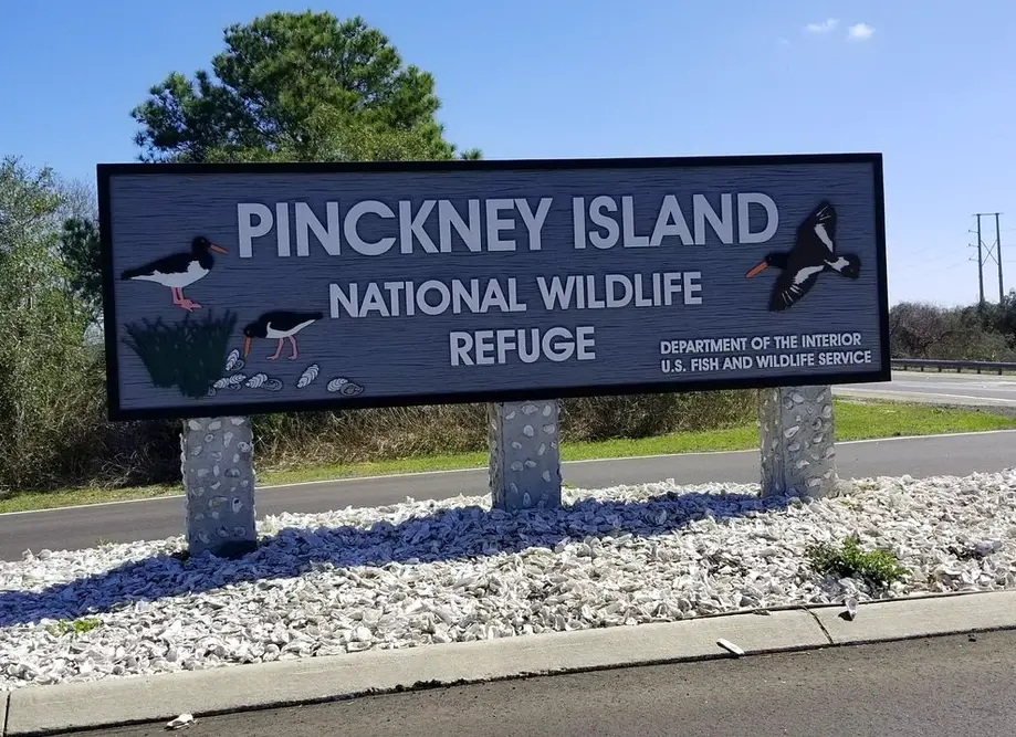 What's Wild Family Hike, Pinckney Island