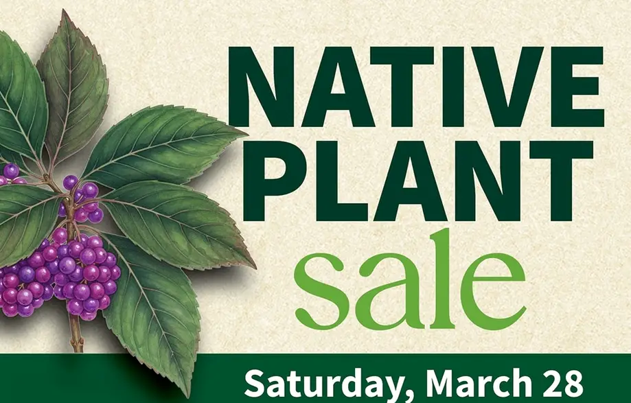 Native Plant Sale