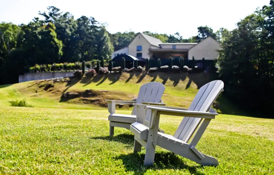 Vineyard Tour