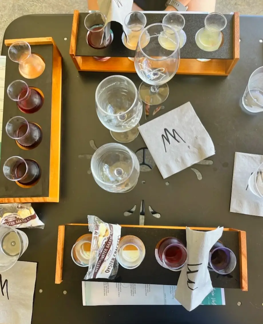 Guided Wine Tasting