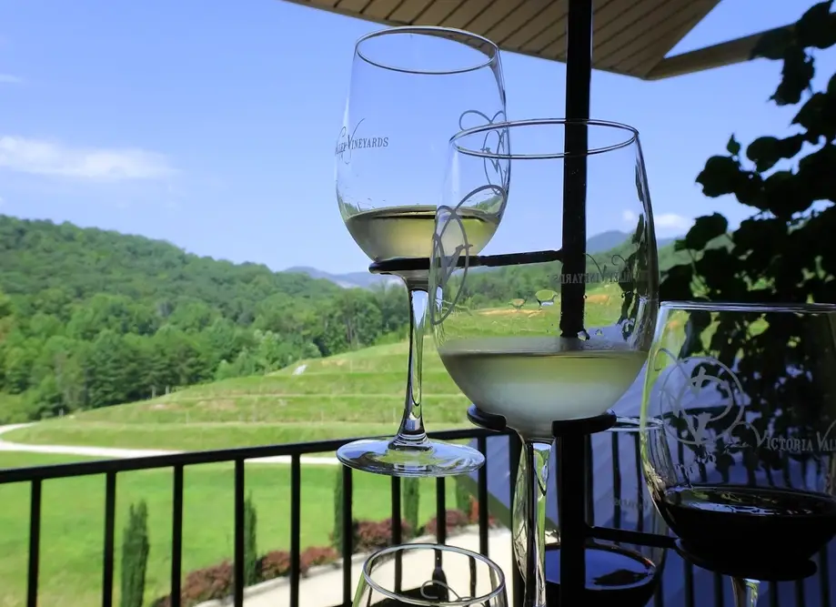 Guided Wine Tasting