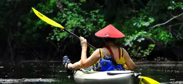 Afternoon Wambaw Creek Wilderness Area Tour - 2 Hour