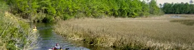 Kayak Rental - Awendaw Creek/Intracoastal Waterway