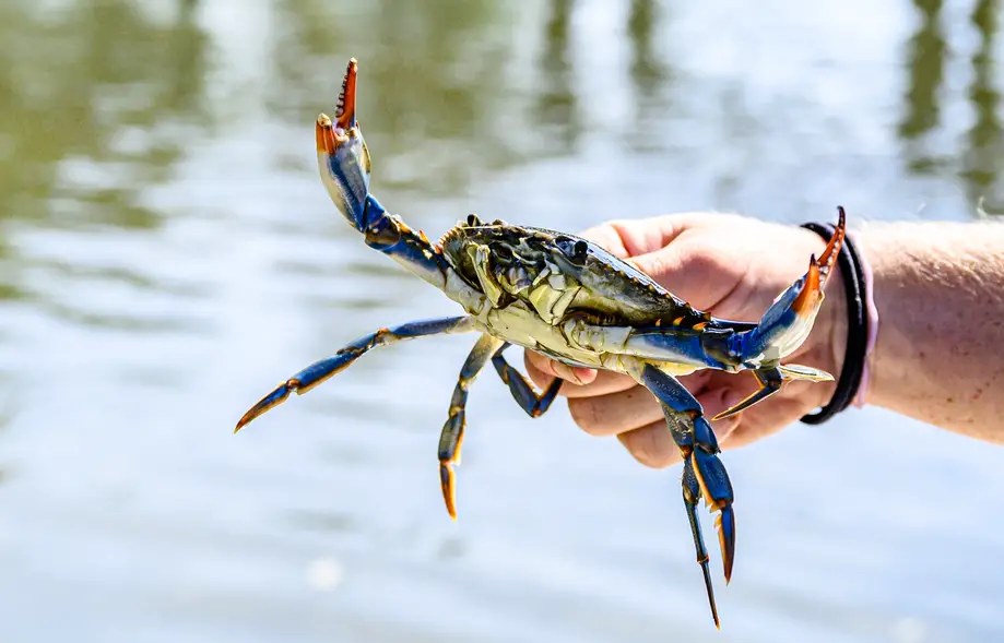 Crabbing