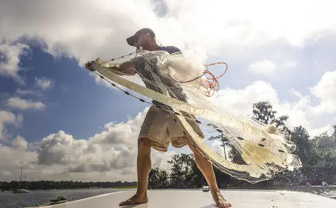 Shrimping