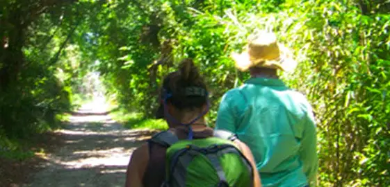 Awendaw Passage of Palmetto Trail Hike